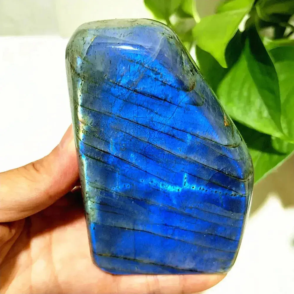 Blue Labradorite Crystal Freeform-Freeforms-Ali-Labradorite-A24 409g 99-64mm-Crystal Destiny