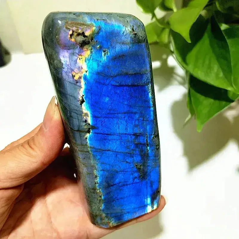 Blue Labradorite Crystal Freeform-Freeforms-Ali-Labradorite-A30 412g119-50mm-Crystal Destiny