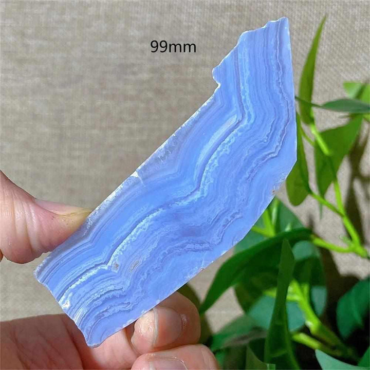 Polished Blue Lace Agate slab featuring calming pale blue and white lace-like bands for throat chakra healing and display.