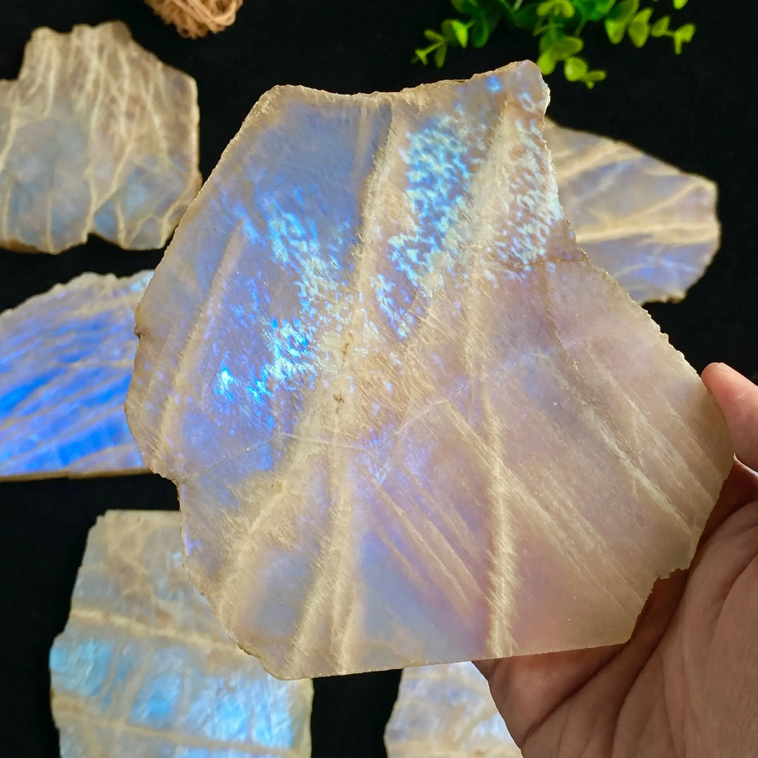 Blue Moonstone Crystal Slice-Slabs-Ali-Blue Moonstone-50-100g-Crystal Destiny