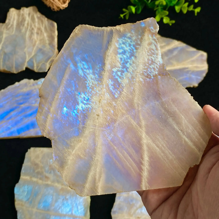 Blue Moonstone Crystal Slice-Slabs-Ali-Blue Moonstone-50-100g-Crystal Destiny