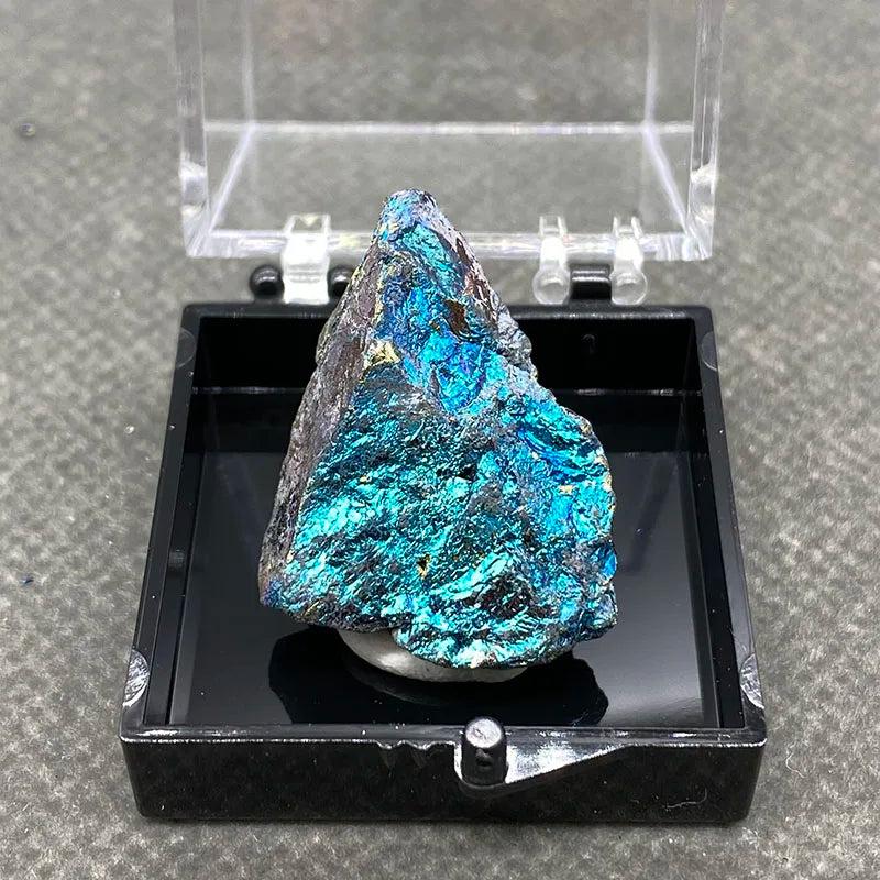 Raw Bornite Peacock Ore specimen with iridescent blue, purple, and gold shimmer and metallic Pyrite in a display box.