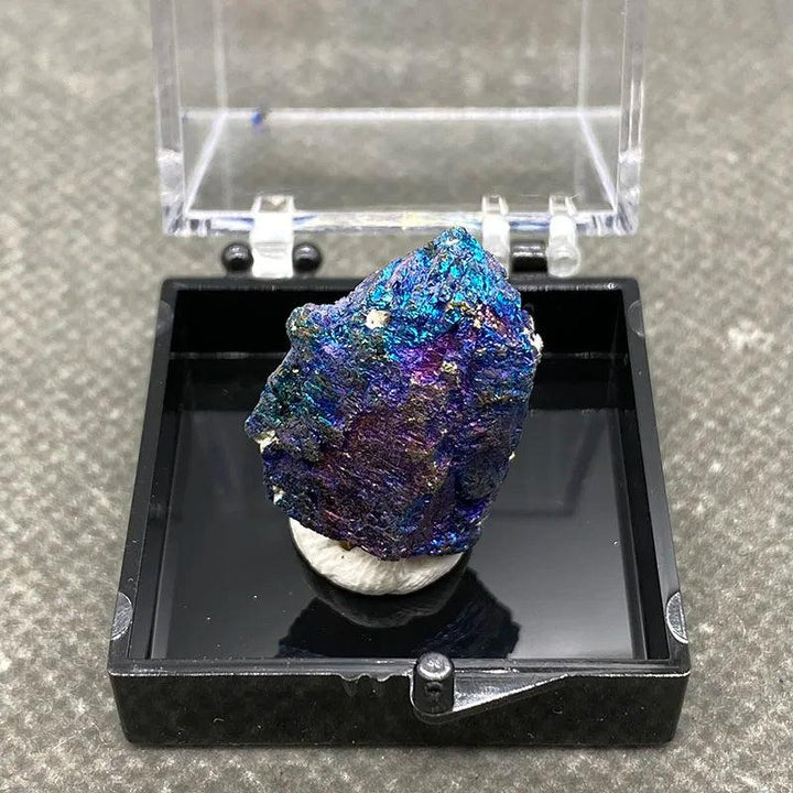 Raw Bornite Peacock Ore specimen with iridescent blue, purple, and gold hues and metallic Pyrite in a display box.