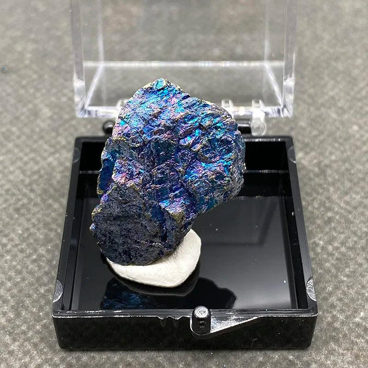Raw Bornite Peacock Ore specimen with iridescent blue and gold colors, displayed in a protective clear mineral case.