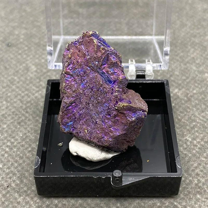 Raw Bornite Peacock Ore specimen with iridescent purple, blue, and gold hues and Pyrite inclusions in a display box.