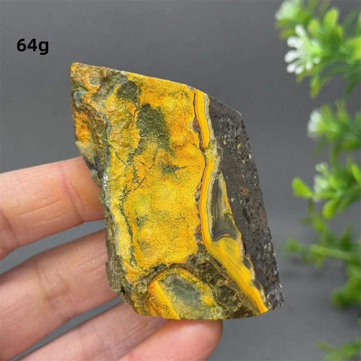 Vibrant 64g Bumblebee Jasper Crystal Freeform with yellow and black bands for solar plexus energy.