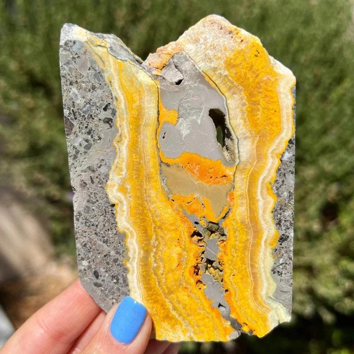 Polished Bumblebee Jasper Crystal Slice with vibrant yellow and grey volcanic banding for solar plexus energy.