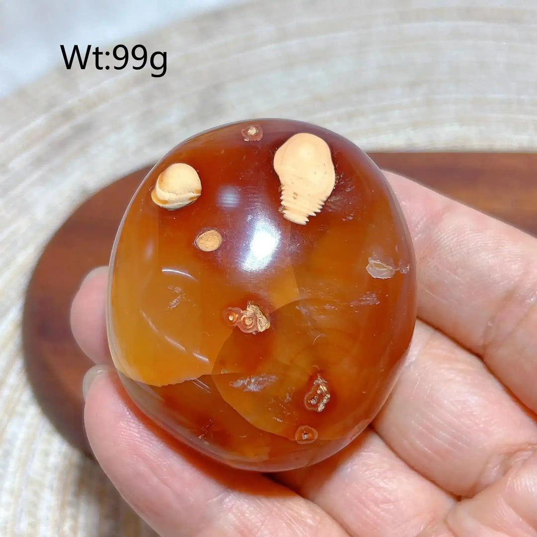 Carnelian Druzy Geode Palm Stone