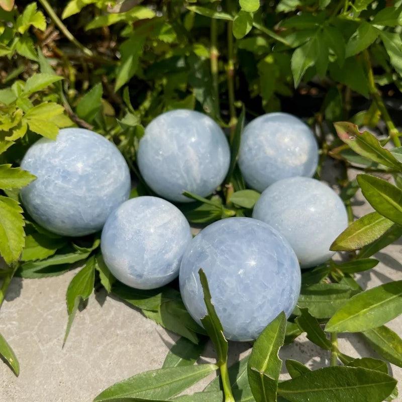 Six polished Celestite crystal spheres, soft powdery blue, nestled among green leaves for deep calm and clarity.