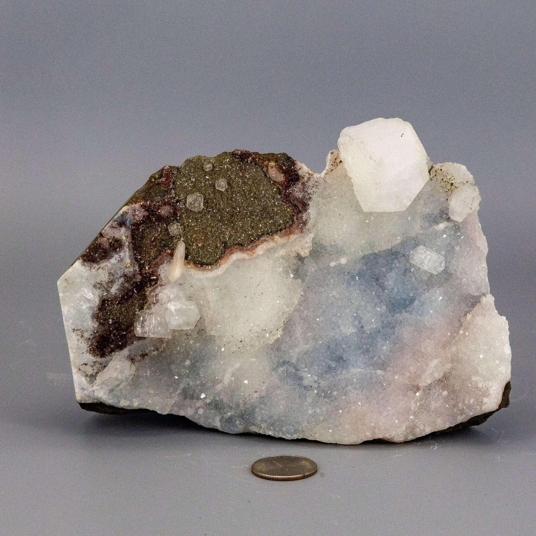 Calm blue-grey Chalcedony Quartz Cluster with a striking glassy Apophyllite knob, showcasing serene beauty.