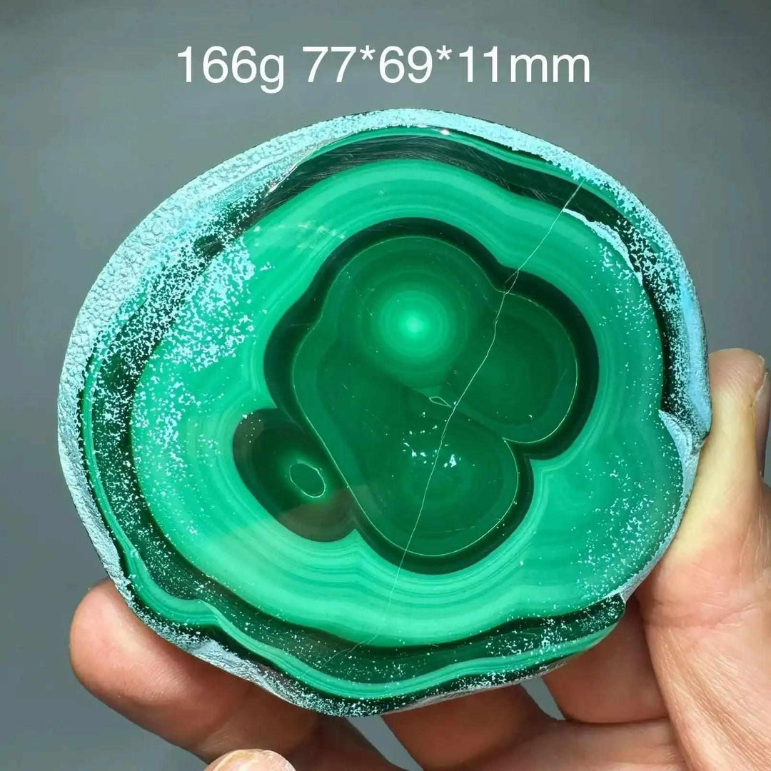 Polished Chrysocolla Malachite slab featuring vibrant green banded swirls for heart chakra healing and display.