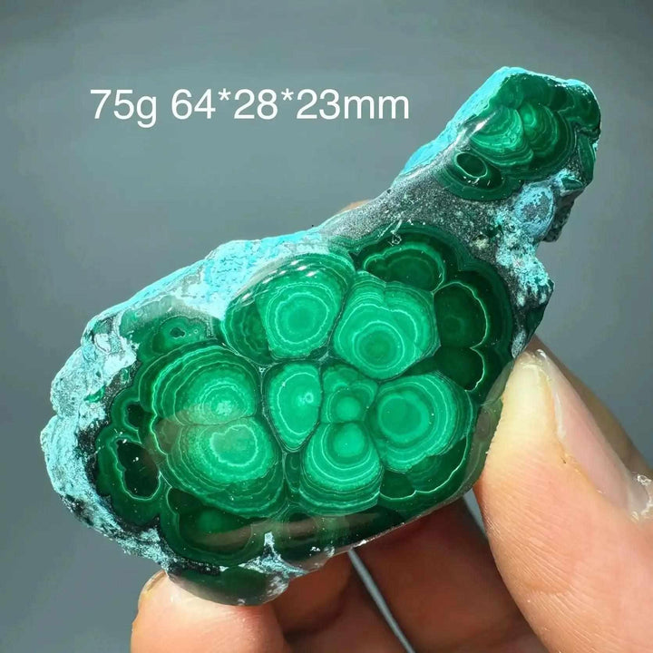 Polished Chrysocolla Malachite slab featuring vibrant green banded patterns and turquoise blue for heart chakra healing.