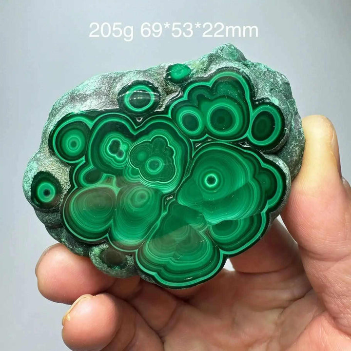 Polished Chrysocolla Malachite slab featuring vibrant green banded swirls for heart chakra healing and display.