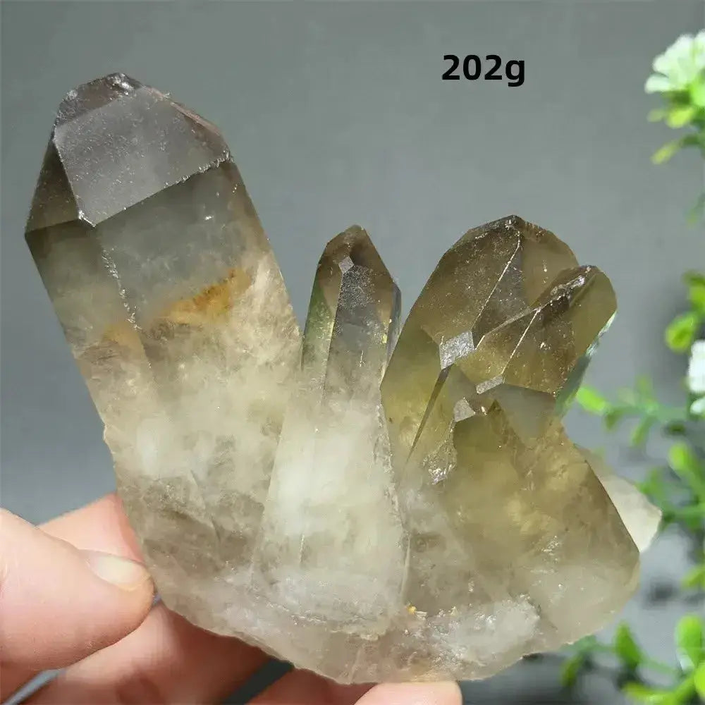 Citrine Crystal Clusters Home Decor-Points-Ali-Citrine-D36 202g-Crystal Destiny