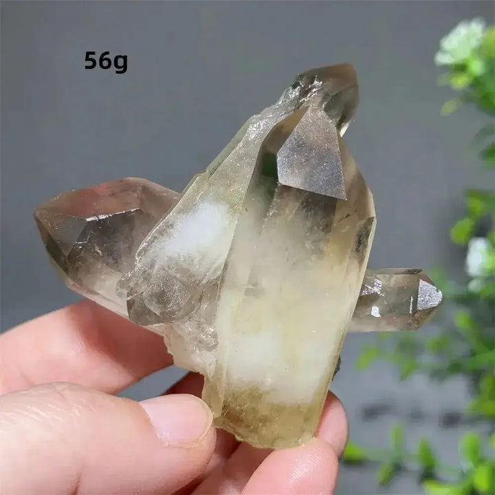 Citrine Crystal Clusters for Home Decor - Uplift Your Space-Points-Ali-Citrine-D17 56g-Crystal Destiny