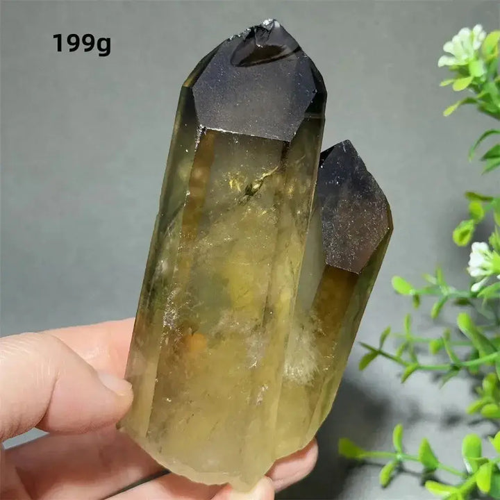 Citrine Crystal Clusters for Home Decor - Uplift Your Space-Points-Ali-Citrine-D19 199g-Crystal Destiny