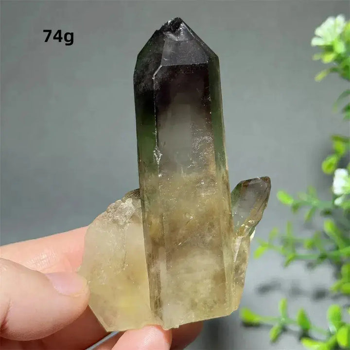 Citrine Crystal Clusters for Home Decor - Uplift Your Space-Points-Ali-Citrine-D24 74g-Crystal Destiny