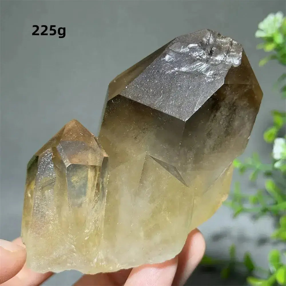 Citrine Crystal Clusters for Home Decor - Uplift Your Space-Points-Ali-Citrine-D29 225g-Crystal Destiny