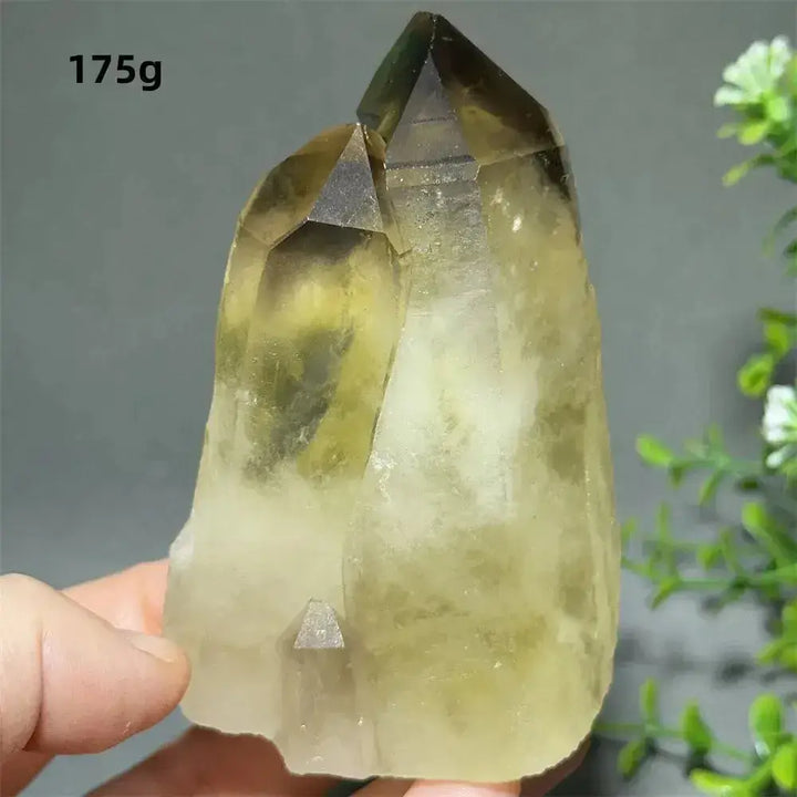 Citrine Crystal Clusters for Home Decor - Uplift Your Space-Points-Ali-Citrine-D30 175g-Crystal Destiny