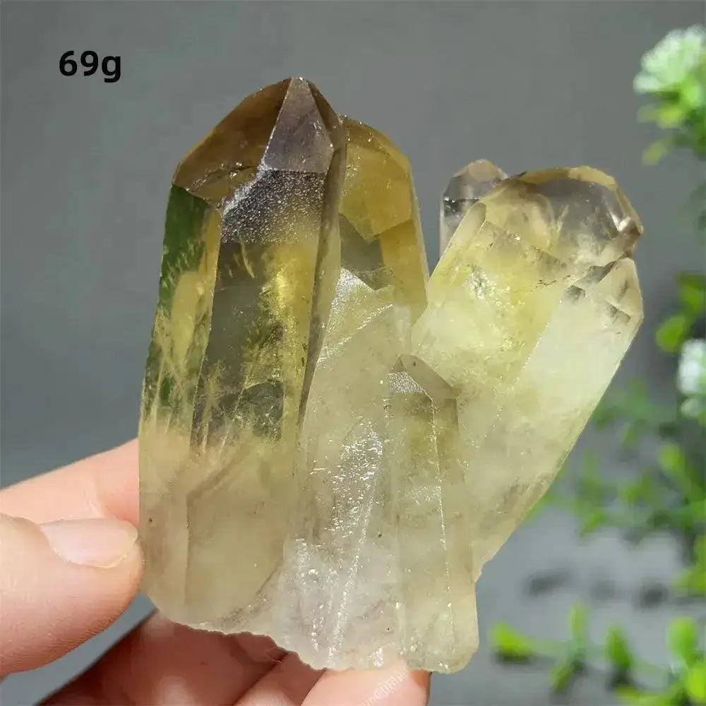 Citrine Crystal Clusters for Home Decor - Uplift Your Space-Points-Ali-Citrine-D31 69g-Crystal Destiny