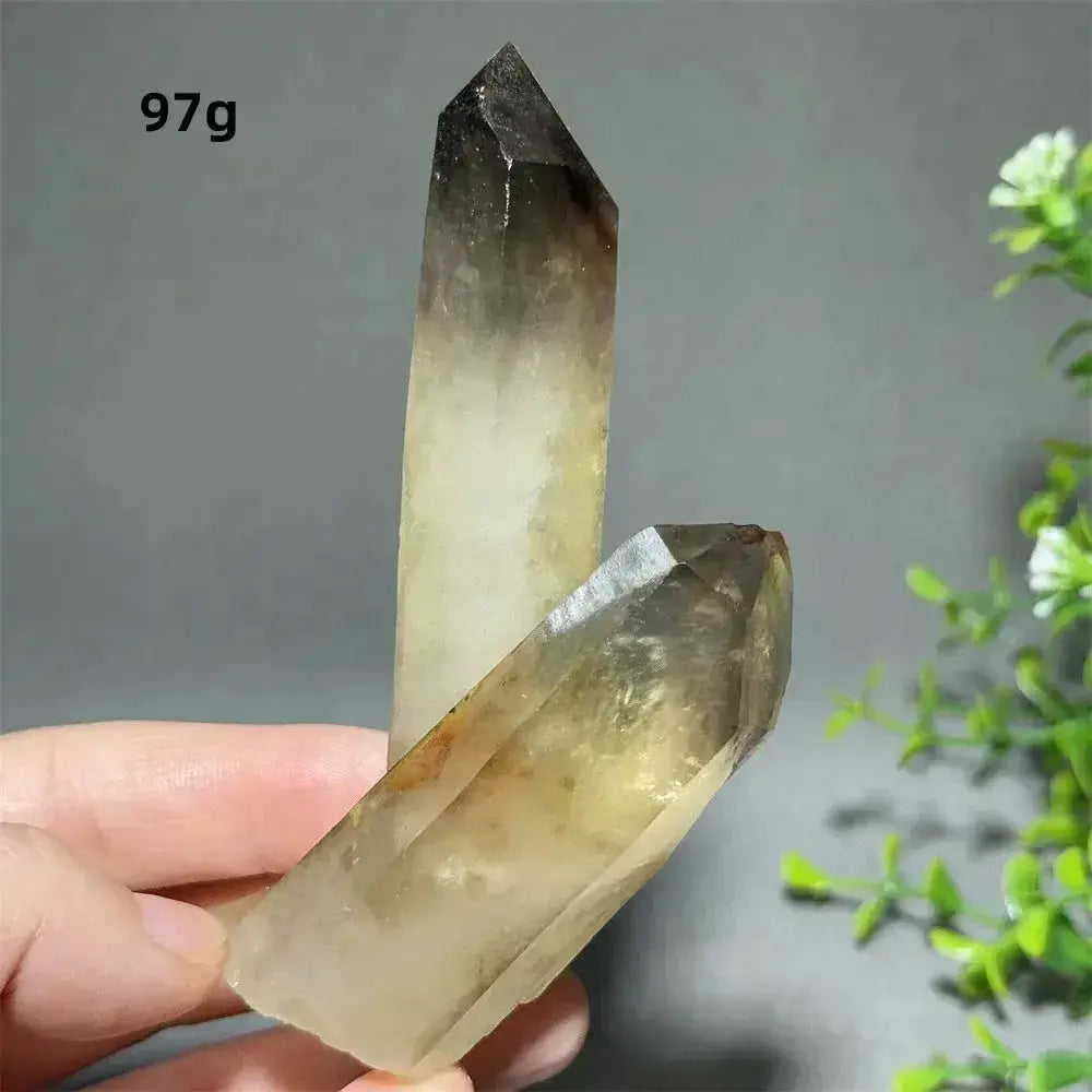 Citrine Crystal Clusters for Home Decor - Uplift Your Space-Points-Ali-Citrine-D6 97g-Crystal Destiny