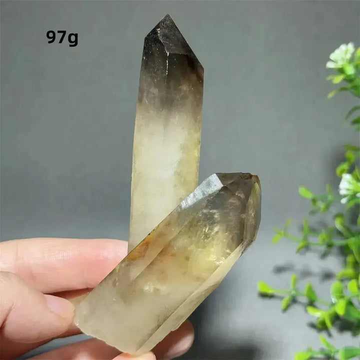 Citrine Crystal Clusters for Home Decor - Uplift Your Space-Points-Ali-Citrine-D6 97g-Crystal Destiny