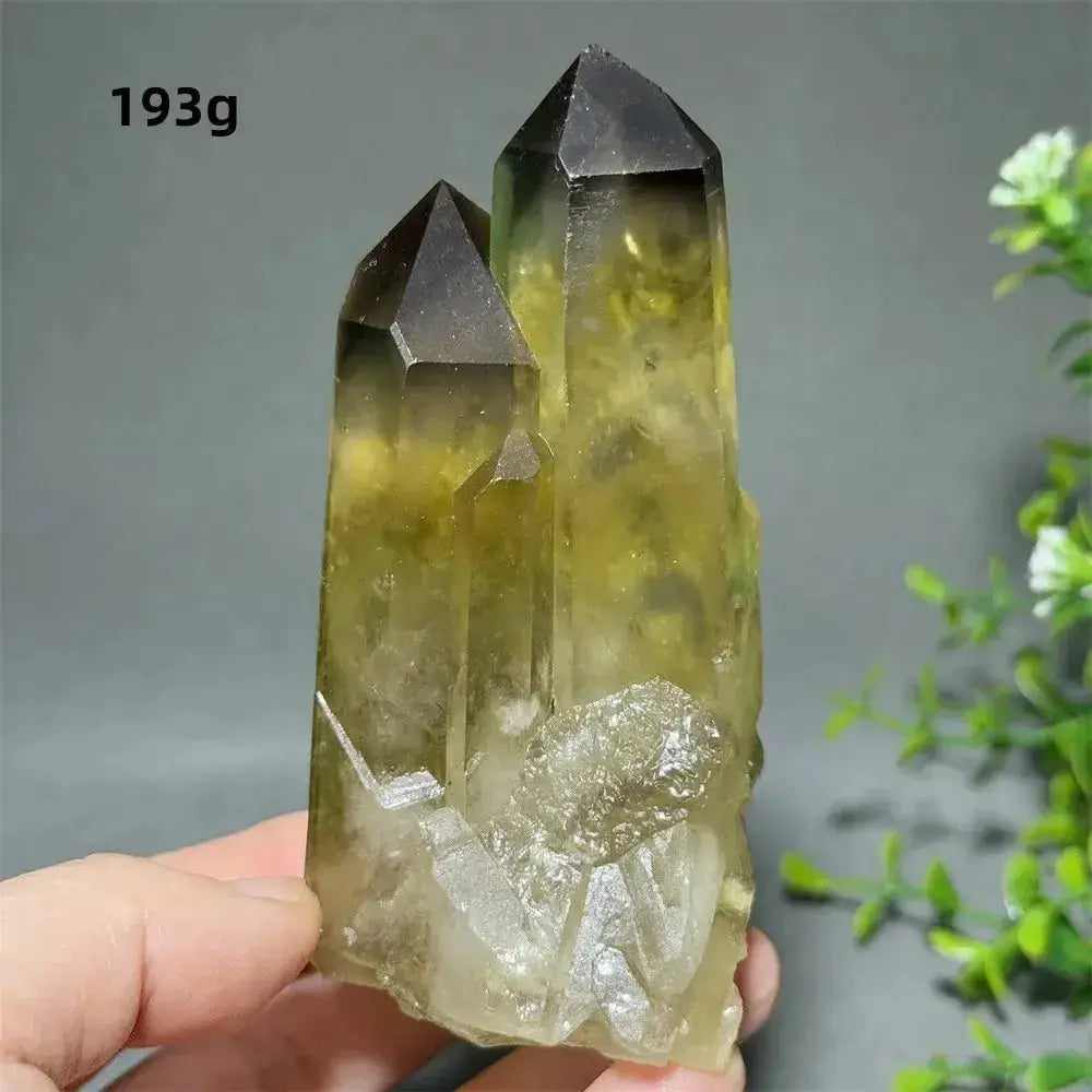 Citrine Crystal Clusters for Home Decor - Uplift Your Space-Points-Ali-Citrine-D9 193g-Crystal Destiny