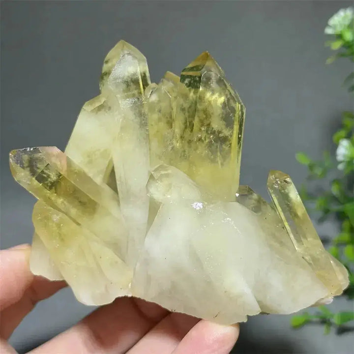 Citrine Crystal Clusters for Home Decor - Uplift Your Space-Points-Ali-Citrine-D1 336g-Crystal Destiny