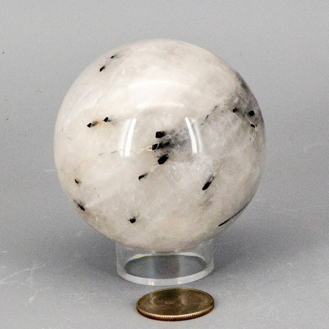 Quartz w/t Black Tourmaline Inclusions 68MM sphere, clear with bold black formations, amplifying protection.