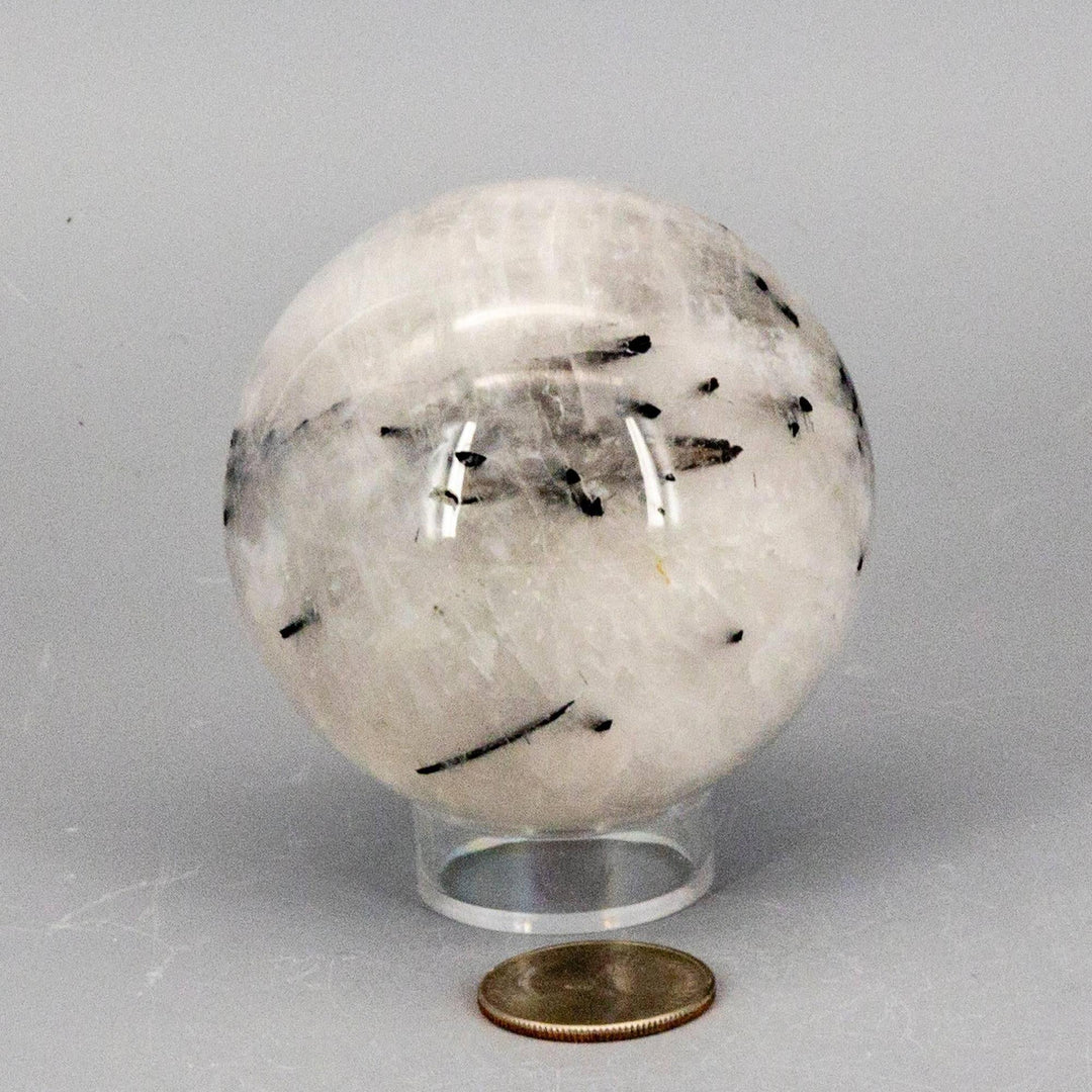 Quartz w/t Black Tourmaline Inclusions 68MM sphere: clear quartz with bold black tourmaline formations for amplification and protection.