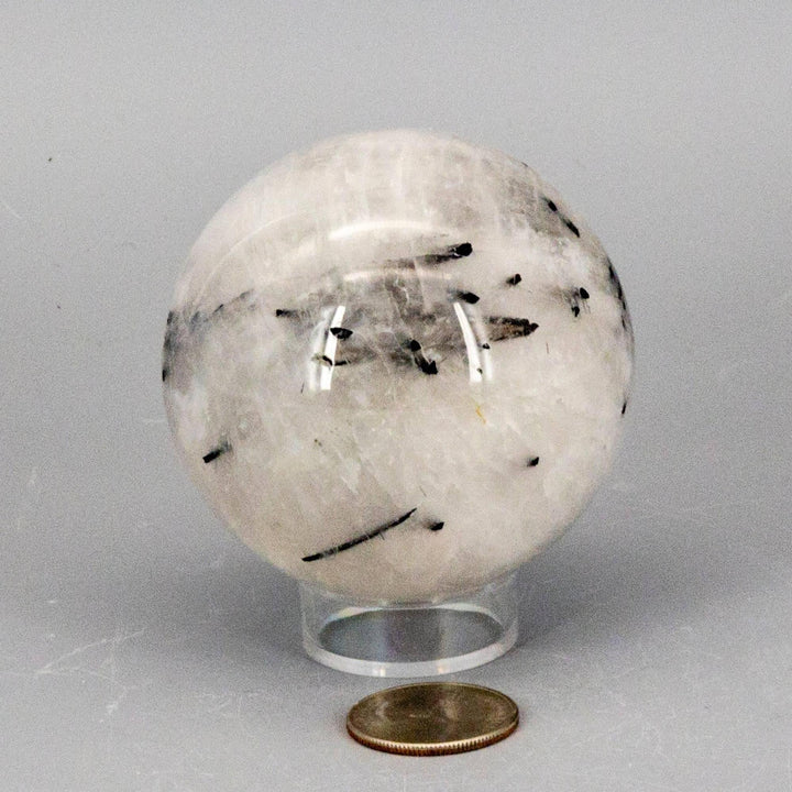 Quartz w/t Black Tourmaline Inclusions 68MM sphere: clear quartz with bold black tourmaline formations for amplification and protection.