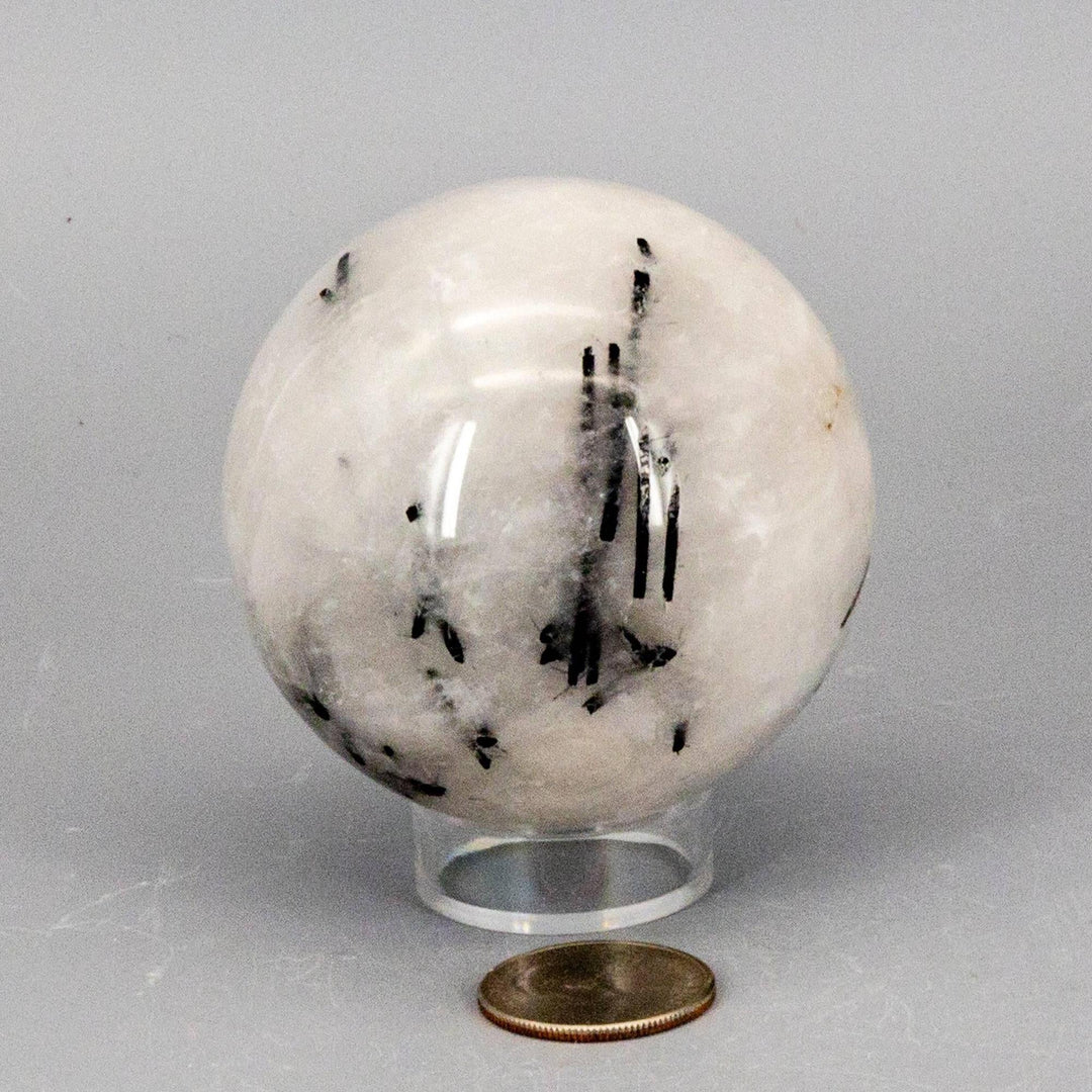 Quartz w/t Black Tourmaline Inclusions 68MM sphere, a striking clear crystal with bold black formations for amplification and protection.