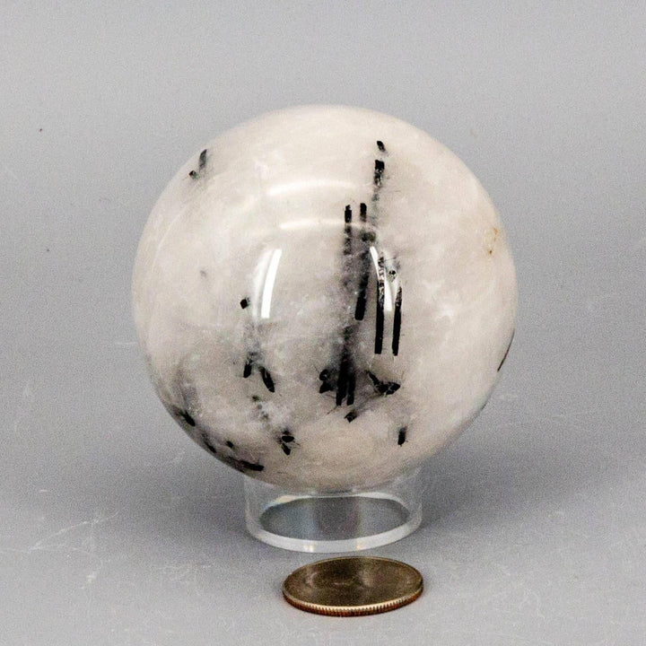 Quartz w/t Black Tourmaline Inclusions 68MM sphere, a striking clear crystal with bold black formations for amplification and protection.