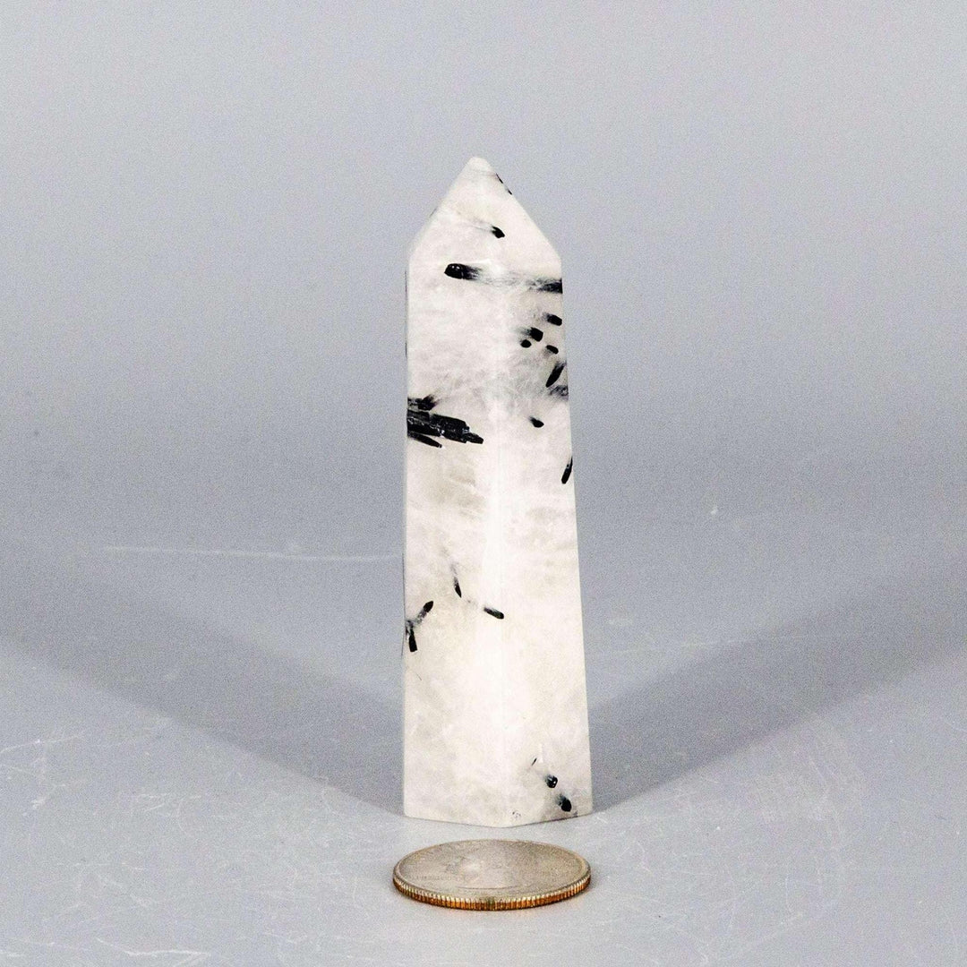 Quartz w/t Black Tourmaline Tower: Clear crystal with striking black tourmaline inclusions, amplifying energy and protection.
