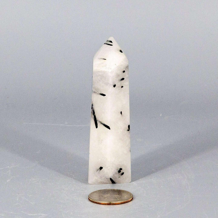 Quartz w/t Black Tourmaline Tower: Clear crystal with striking black tourmaline inclusions, amplifying energy and protection.