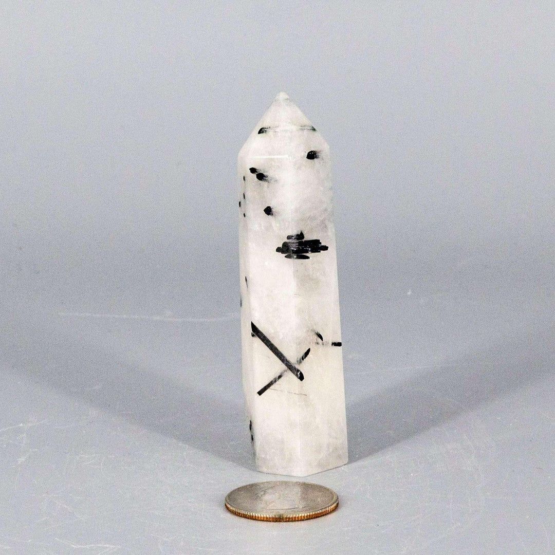 Quartz w/t Black Tourmaline Tower: Clear crystal with striking black inclusions, amplifying energy and shielding.