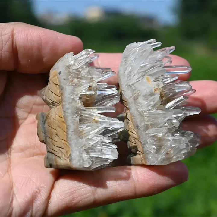 Clear Quartz Hedgehog Carving-Carvings-Ali-Quartz-~2.0"-Crystal Destiny