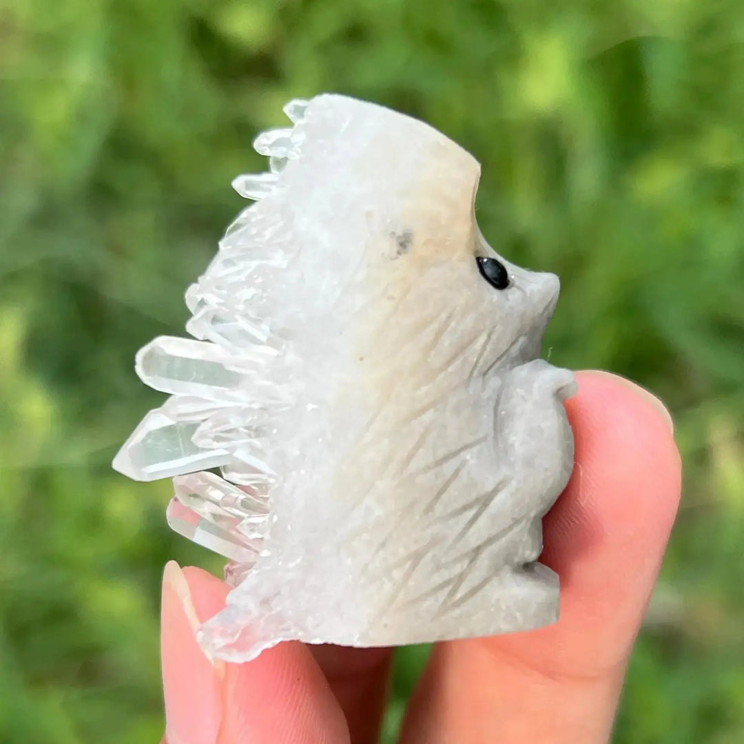 Clear Quartz Hedgehog Carving-Carvings-Ali-Quartz-~2.0"-Crystal Destiny