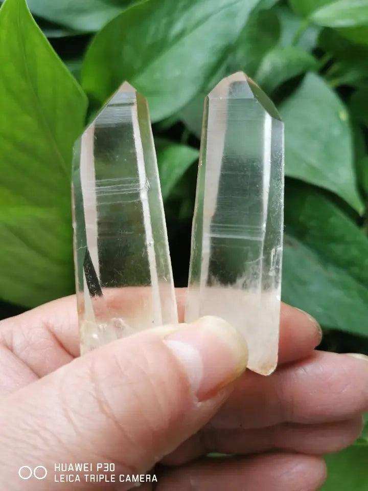 Two clear quartz Lemurian Seed Crystal natural wand points, displaying characteristic horizontal striations, held against green leaves.