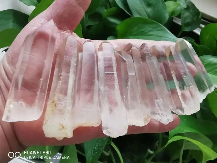 Natural Clear Quartz Lemurian Seed Crystal wands, displaying characteristic striations and high-vibration energy.