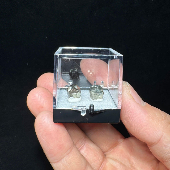 Natural Colombia Cross Pyrite mineral specimen in a 34mm display box, featuring metallic gold raw healing crystals.