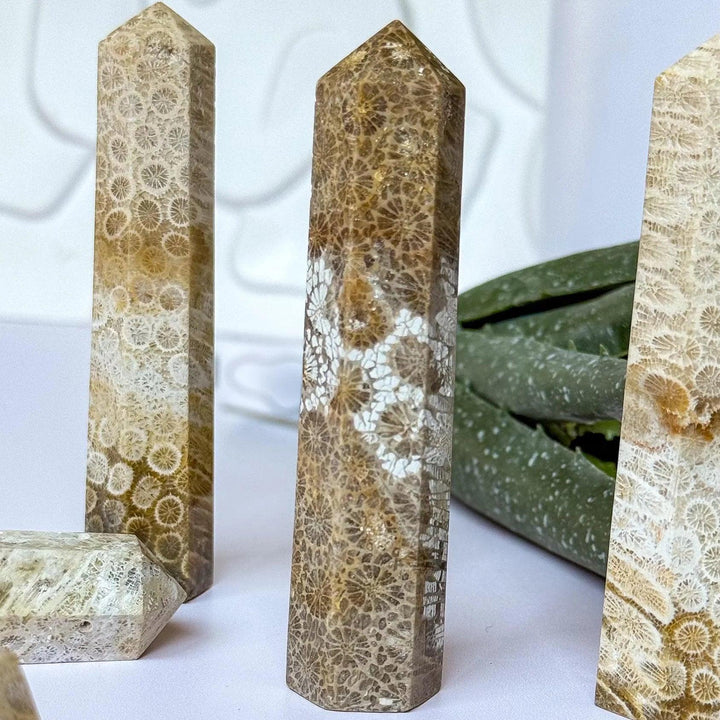 Polished coral jade pillar towers with natural fossil patterns, perfect for healing energy and home decor.