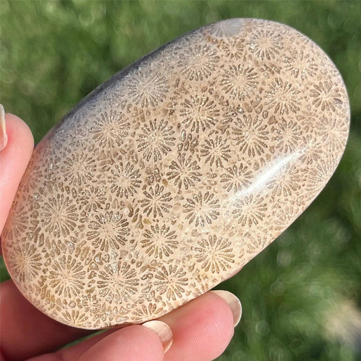 Polished Coral Jasper palm stone featuring intricate, natural floral patterns, perfect for meditation and home decor.