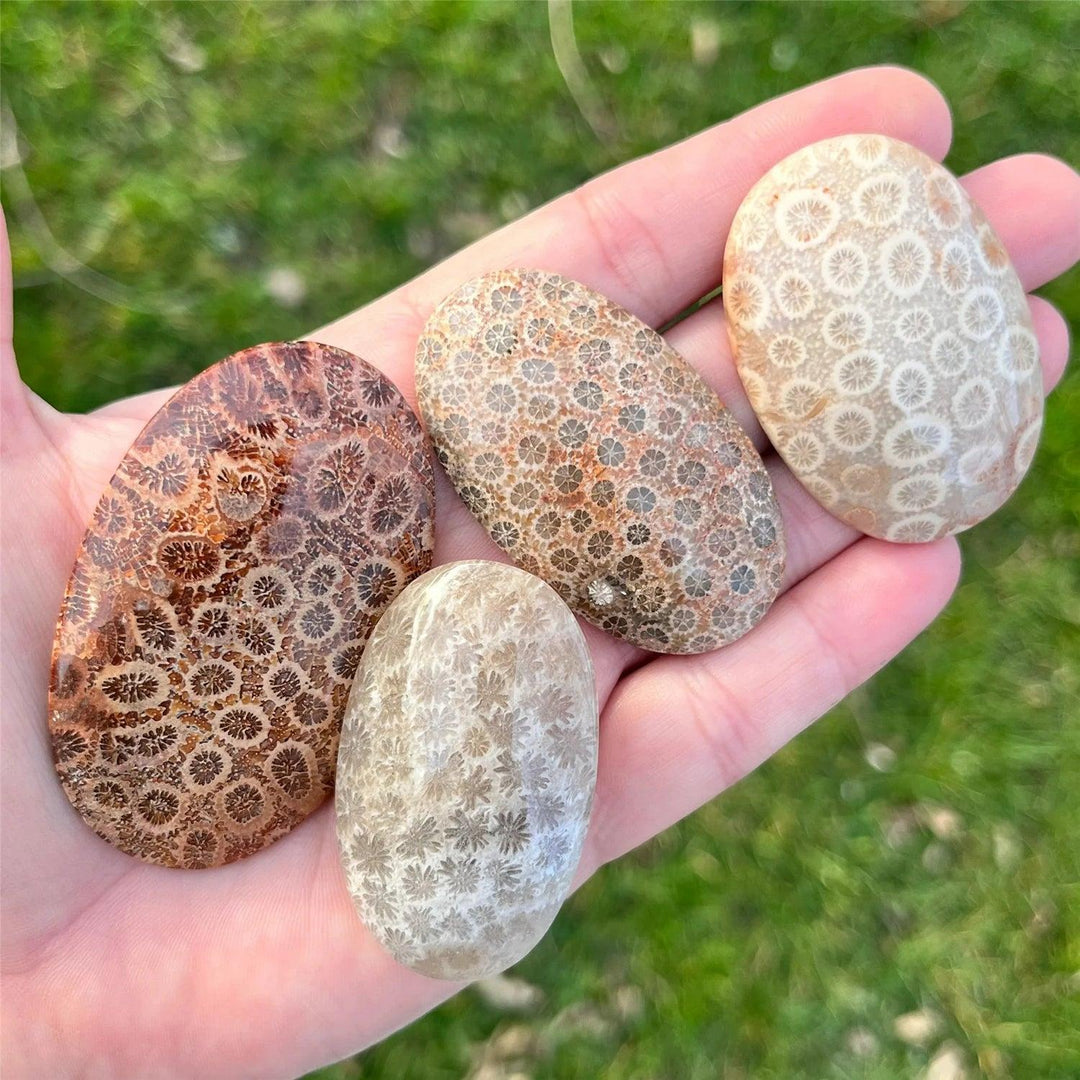Four polished Coral Jasper palm stones in earthy tones with unique floral patterns, perfect for meditation and home decor.