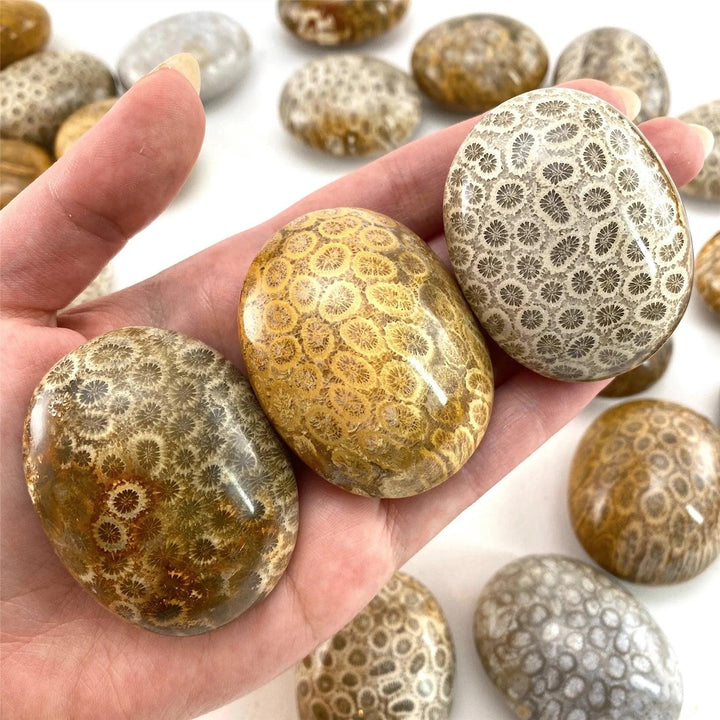 Polished Coral Jasper palm stones with unique floral patterns, perfect for meditation, healing, and bohemian home decor.