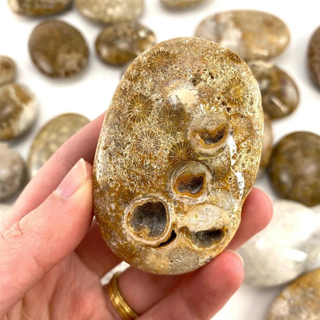 Handheld Coral Jasper palm stone featuring unique fossilized patterns and natural crystal cavities for meditation.