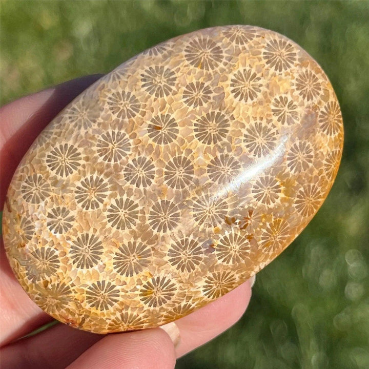 Polished Coral Jasper palm stone featuring intricate floral patterns, perfect for meditation and bohemian home decor.