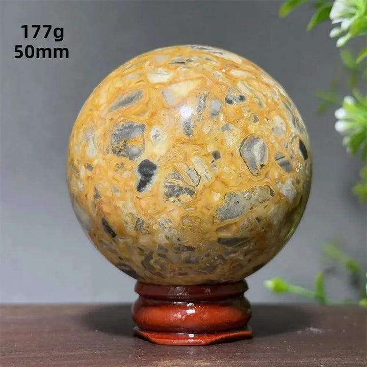 Crazy Lace Agate Sphere with Stand-Spheres-Ali-Crazy Lace Agate-35 177g 50mm-Crystal Destiny