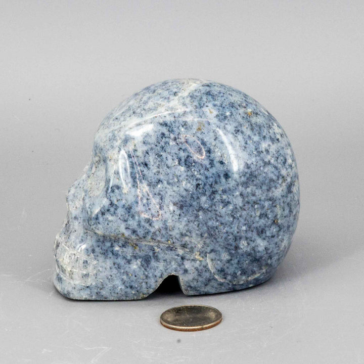 Crystal Skulls - Agate - Rose Quartz - Anhydrite-Skulls-Crystal Destiny-792g - 3.25"H x 4.00"L x 2.50"W - Anhydrite-Crystal Destiny