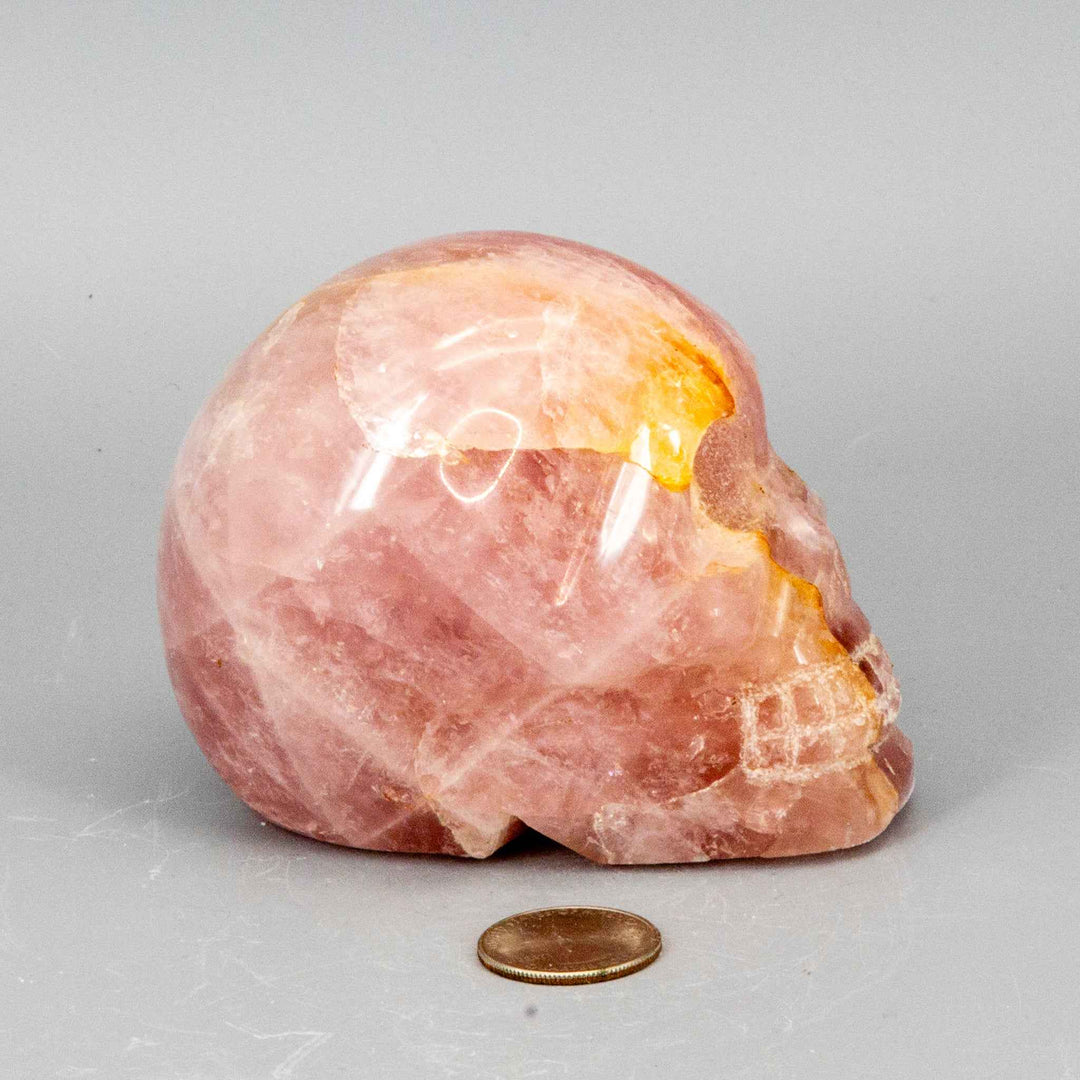 Crystal Skulls - Agate - Rose Quartz - Anhydrite-Skulls-Crystal Destiny-856g - 3.25"H x 4.45"L x 2.50"W - Rose Quartz-Crystal Destiny